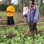 Garden & Livestock in Kenya