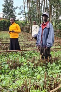 Image for Garden & Livestock in Kenya